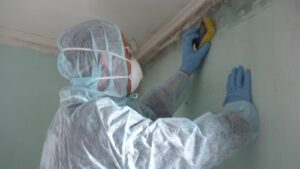 mold remediation